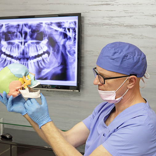 Dentist looking at model of skull